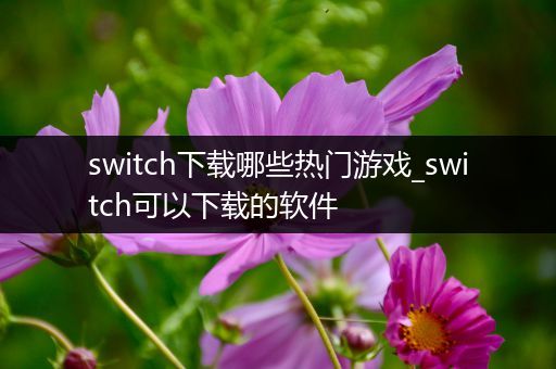 switch下载哪些热门游戏_switch可以下载的软件