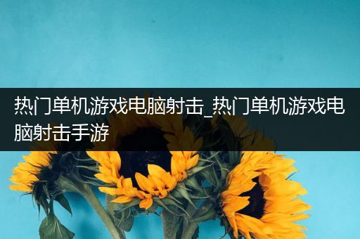 热门单机游戏电脑射击_热门单机游戏电脑射击手游