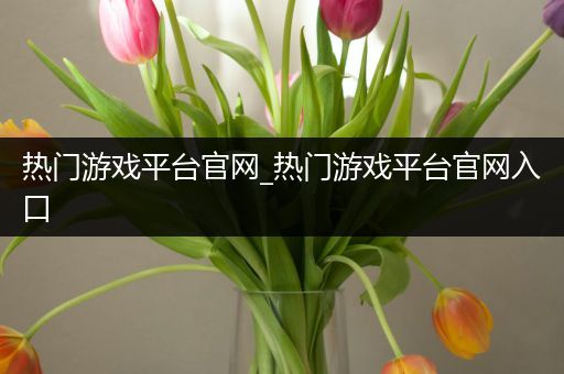 热门游戏平台官网_热门游戏平台官网入口