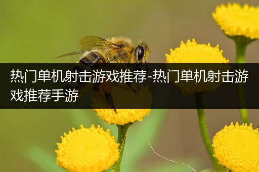 热门单机射击游戏推荐-热门单机射击游戏推荐手游