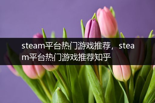 steam平台热门游戏推荐，steam平台热门游戏推荐知乎