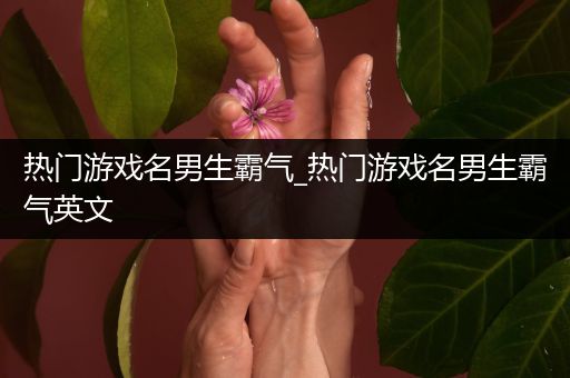 热门游戏名男生霸气_热门游戏名男生霸气英文