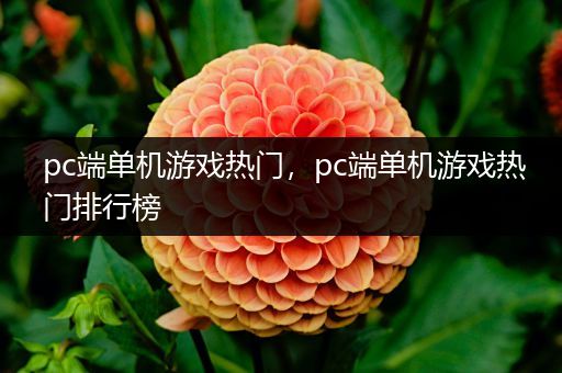 pc端单机游戏热门，pc端单机游戏热门排行榜