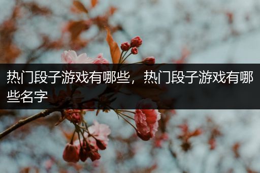 热门段子游戏有哪些，热门段子游戏有哪些名字