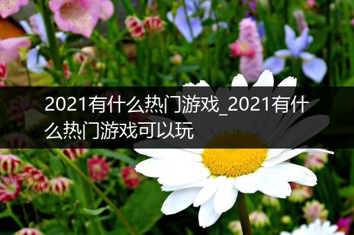 2021有什么热门游戏_2021有什么热门游戏可以玩