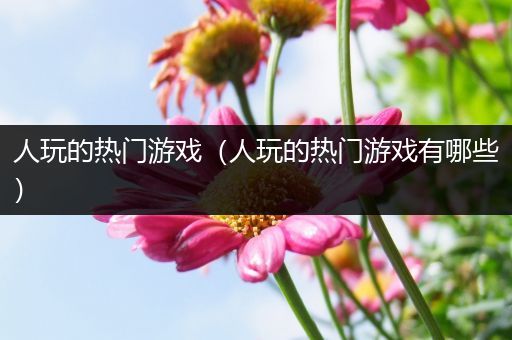 人玩的热门游戏（人玩的热门游戏有哪些）