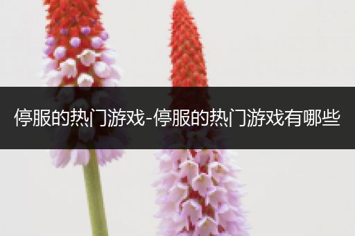 停服的热门游戏-停服的热门游戏有哪些