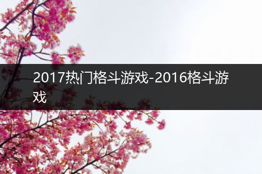 2017热门格斗游戏-2016格斗游戏