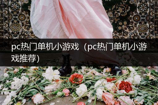 pc热门单机小游戏（pc热门单机小游戏推荐）