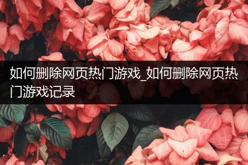 如何删除网页热门游戏_如何删除网页热门游戏记录