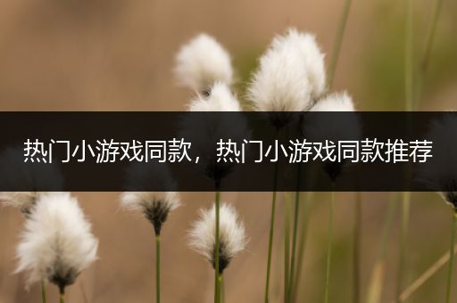 热门小游戏同款，热门小游戏同款推荐