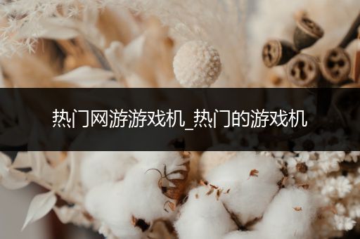 热门网游游戏机_热门的游戏机