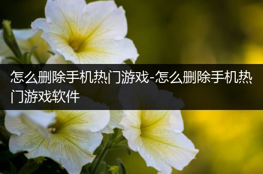 怎么删除手机热门游戏-怎么删除手机热门游戏软件