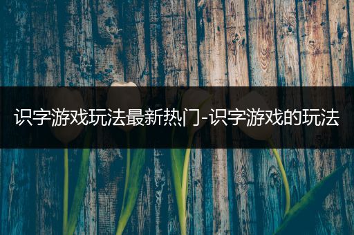 识字游戏玩法最新热门-识字游戏的玩法