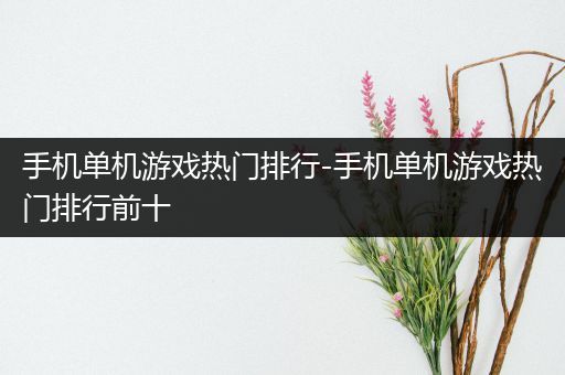 手机单机游戏热门排行-手机单机游戏热门排行前十