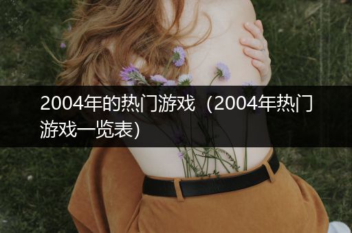 2004年的热门游戏（2004年热门游戏一览表）