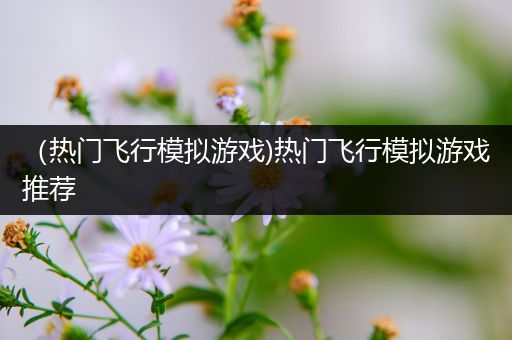 （热门飞行模拟游戏)热门飞行模拟游戏推荐