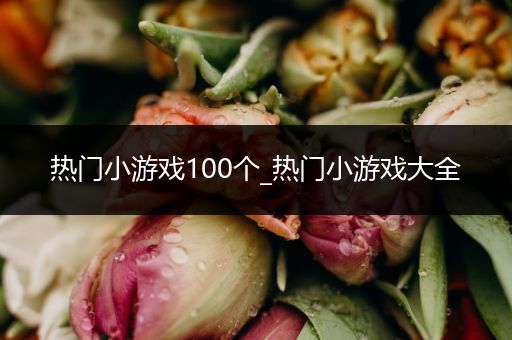 热门小游戏100个_热门小游戏大全