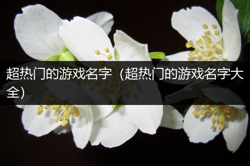 超热门的游戏名字（超热门的游戏名字大全）