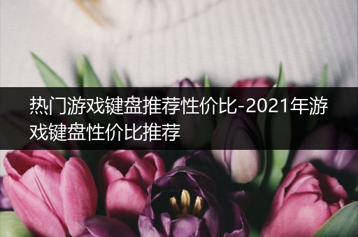 热门游戏键盘推荐性价比-2021年游戏键盘性价比推荐