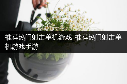 推荐热门射击单机游戏_推荐热门射击单机游戏手游