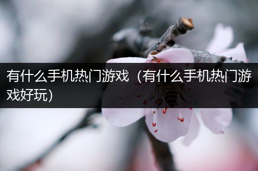 有什么手机热门游戏（有什么手机热门游戏好玩）