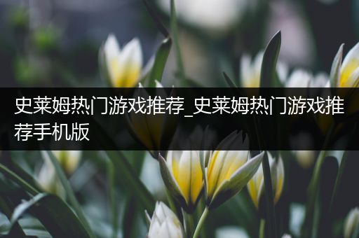 史莱姆热门游戏推荐_史莱姆热门游戏推荐手机版