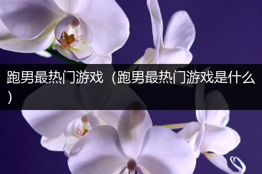 跑男最热门游戏（跑男最热门游戏是什么）