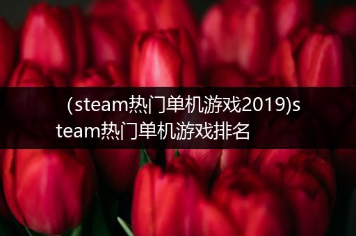 （steam热门单机游戏2019)steam热门单机游戏排名