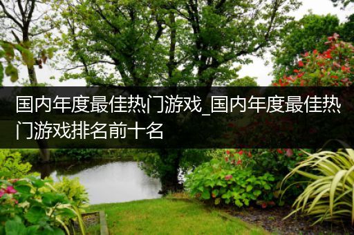 国内年度最佳热门游戏_国内年度最佳热门游戏排名前十名