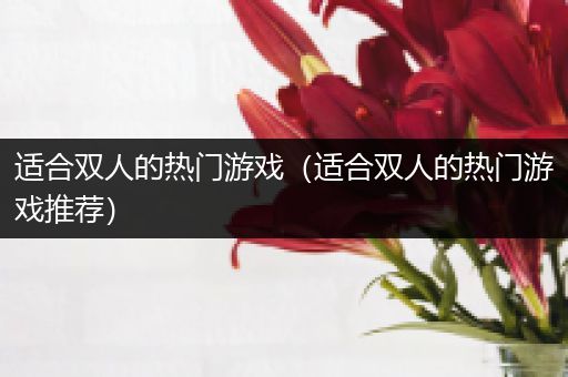 适合双人的热门游戏（适合双人的热门游戏推荐）