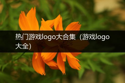 热门游戏logo大合集（游戏logo大全）