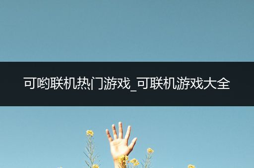 可哟联机热门游戏_可联机游戏大全