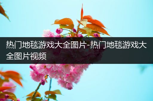 热门地毯游戏大全图片-热门地毯游戏大全图片视频