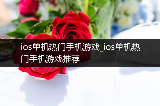 ios单机热门手机游戏_ios单机热门手机游戏推荐