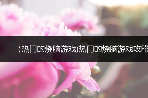 （热门的烧脑游戏)热门的烧脑游戏攻略