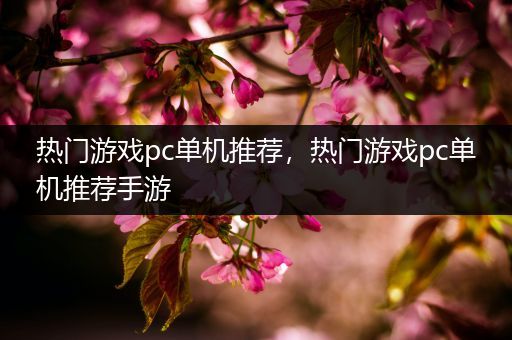 热门游戏pc单机推荐，热门游戏pc单机推荐手游