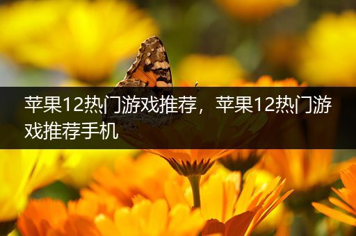 苹果12热门游戏推荐，苹果12热门游戏推荐手机