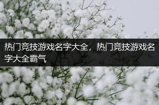 热门竞技游戏名字大全，热门竞技游戏名字大全霸气