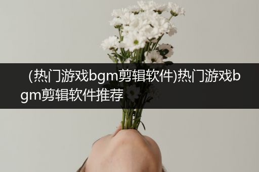 （热门游戏bgm剪辑软件)热门游戏bgm剪辑软件推荐