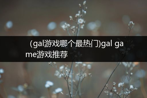 （gal游戏哪个最热门)gal game游戏推荐