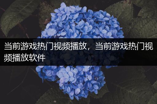 当前游戏热门视频播放，当前游戏热门视频播放软件