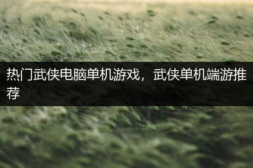 热门武侠电脑单机游戏，武侠单机端游推荐