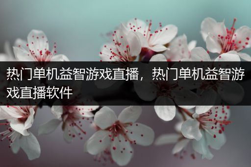 热门单机益智游戏直播，热门单机益智游戏直播软件