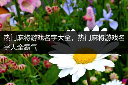 热门麻将游戏名字大全，热门麻将游戏名字大全霸气