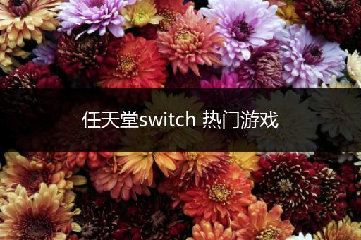 任天堂switch 热门游戏