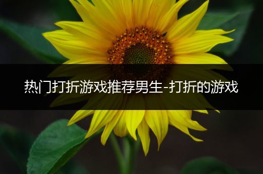 热门打折游戏推荐男生-打折的游戏