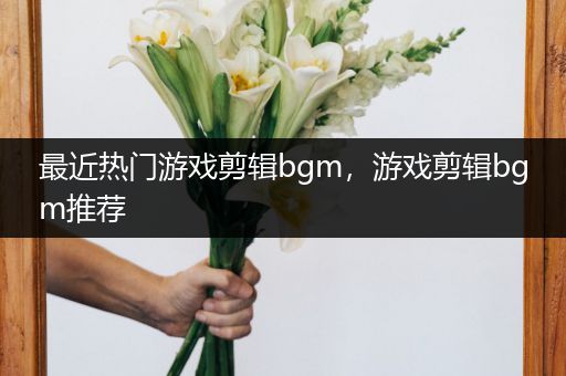 最近热门游戏剪辑bgm，游戏剪辑bgm推荐