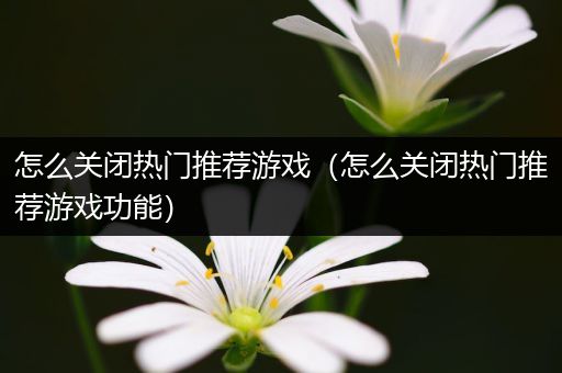 怎么关闭热门推荐游戏（怎么关闭热门推荐游戏功能）