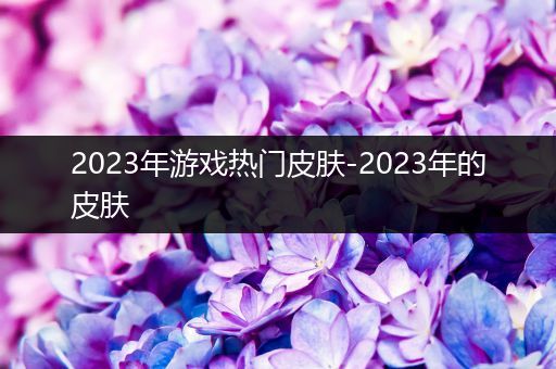 2023年游戏热门皮肤-2023年的皮肤